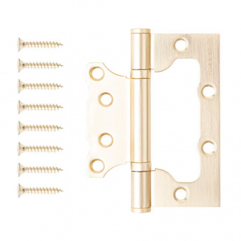 Петля накладная Apecs 100*75*2,5-B2-Steel-GMS - 35461