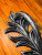 14420_06 14420_06