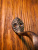 9964_5 9964_5
