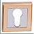 Накладка MASTER LOCK QUATRO R 0601 SG/CP